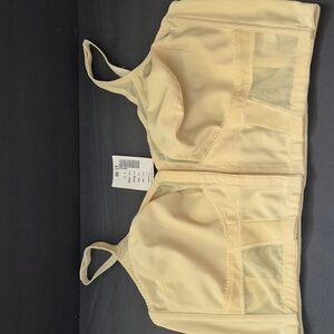 Elegant Cream Bra